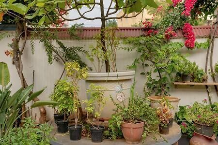 Eden Garden Villa By Jadecaps Nr Mg Road Garden Bangalore Bagian luar foto